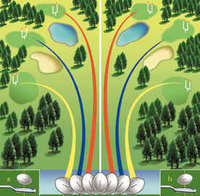 The Oval GolfCross Ball