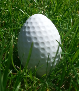 Original GolfCross-Bälle, weiß